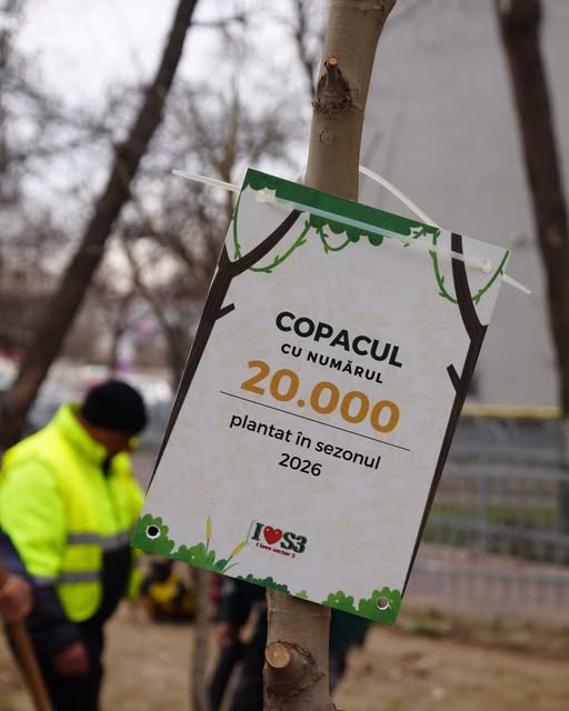 20.000 de copaci noi în Sectorul 3 — tei, mesteceni și umbră
