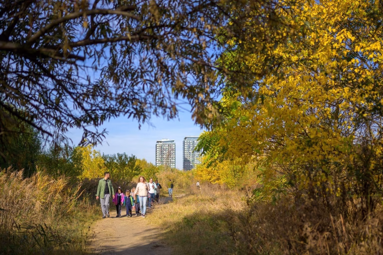 Activități propuse pentru Săptămâna Verde: amenajarea unei pajiști și adăposturi pentru insecte