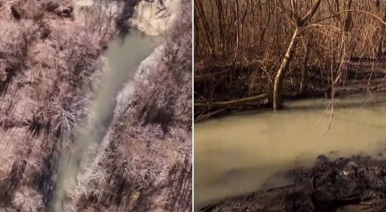 Calitatea apei din Capitală ridică semne de întrebare