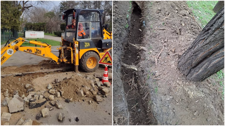 Dezastru în Parcul Carol: Amenzi pentru lucrări neautorizate