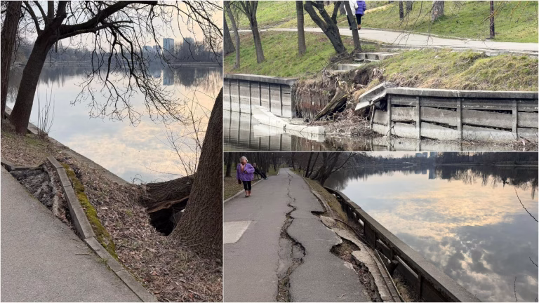Dezastrul ascuns din Parcul Regele Mihai I: Gard vopsit, asfalt rupt și copaci căzuți