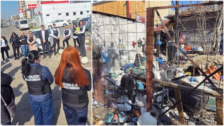 Primăriile din București intensifică acțiunile pentru curățenia publică