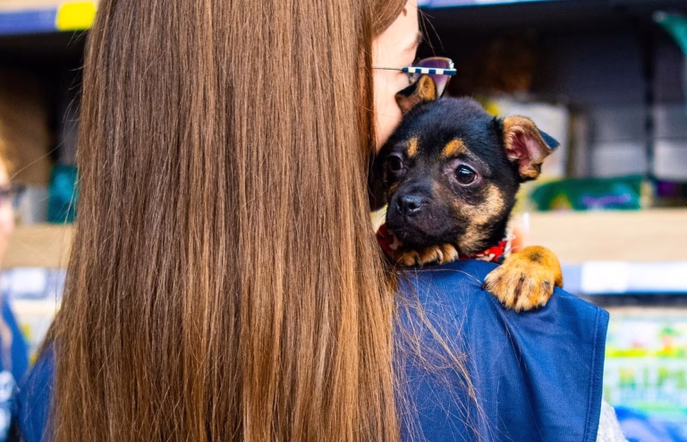 Târg de adopții ASPA în ultimul weekend din martie. O gașcă de cățeluși va veni la Maxi Pet Mihai Bravu să-și găsească o familie iubitoare