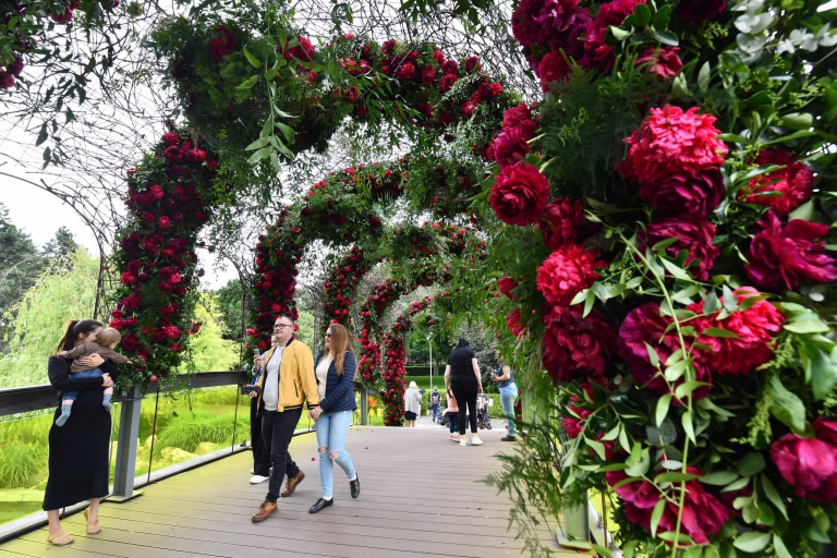 West Side Flower Fest 2026: Tema ediției “Origini – Grădina Regiunilor și a Meșteșugarului”