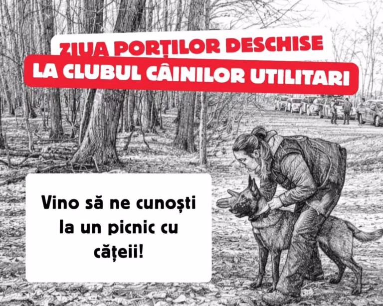 Ziua porților deschise la Clubul Câinilor Utilitari: Demonstrații de căutare și salvare și picnic pentru iubitorii de câini