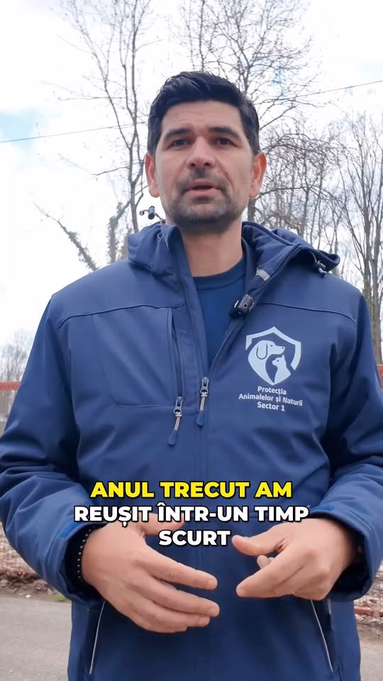 Aleea Privighetorilor se modernizează, dar pădurea rămâne