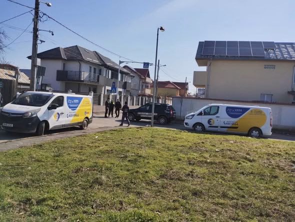 ASPA a ridicat 61 de câini în martie din toată Capitala - Bucuresti