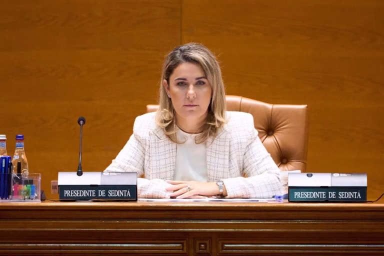 AUR zice că are soluția pentru evaziunea fiscală, dar…