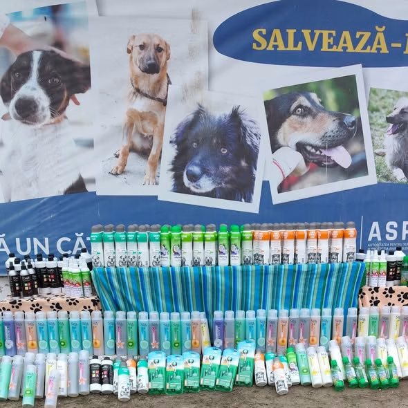 Cățeii de la ASPA primesc produse de îngrijire de la NOVA GROUP - Bucuresti