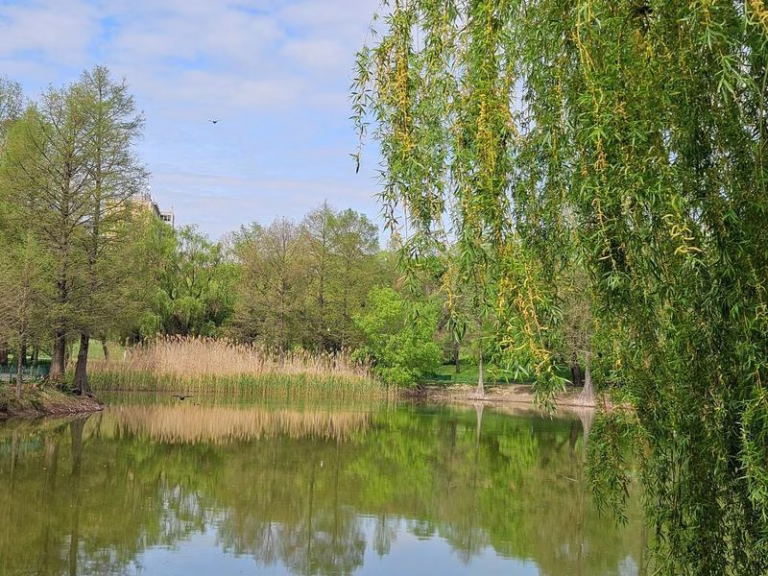 Cum va fi vremea de Paște în București