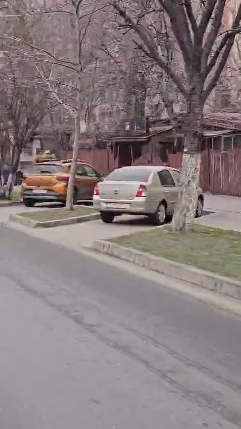 Curățenie de primăvară pe Brâncoveanu, de la Turnu Măgurele la Nițu Vasile