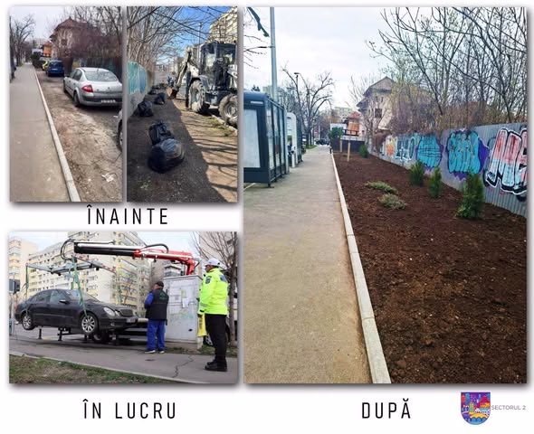 Iancul scapă de mașinile abandonate și primește pomi noi