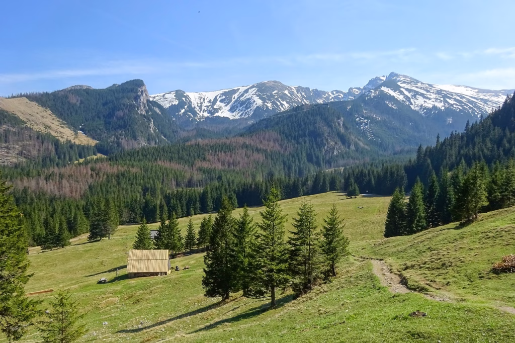 Iartă-mă, Tatra! Cum s-au întors bucureștenii la tramvaie - Bucuresti (Stock photo)