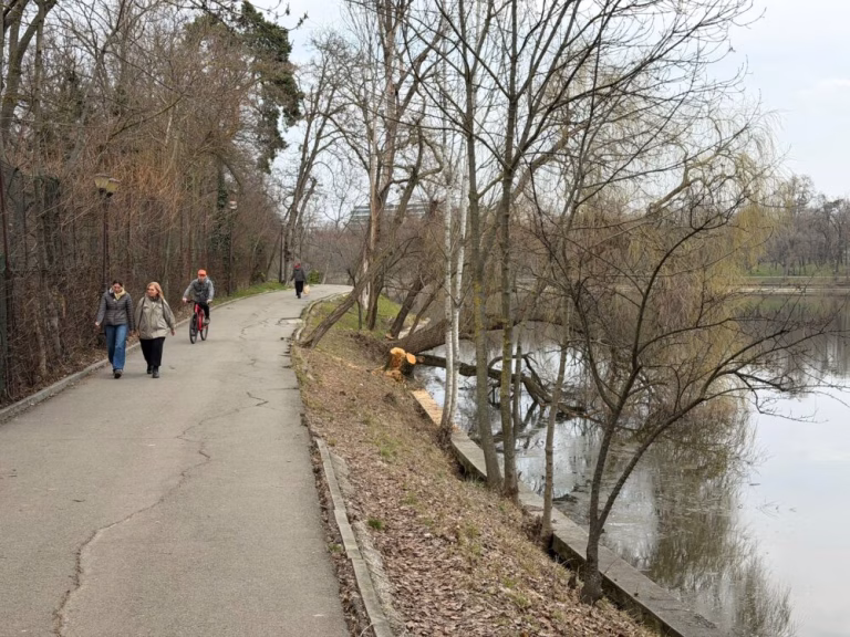 Parcul Herăstrău: 2 milioane de euro pentru alei doar la intrare