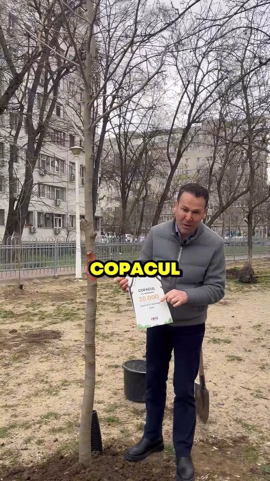 Sectorul 3 își propune obiective noi la capitolul spații verzi