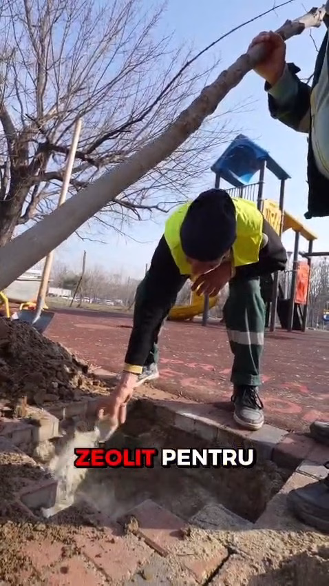 Sectorul 3 plantează copaci la greu în propria pepininieră