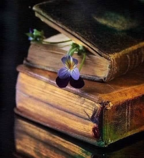 23 aprilie, Ziua Cărții: București celebrează lectura - Bucuresti