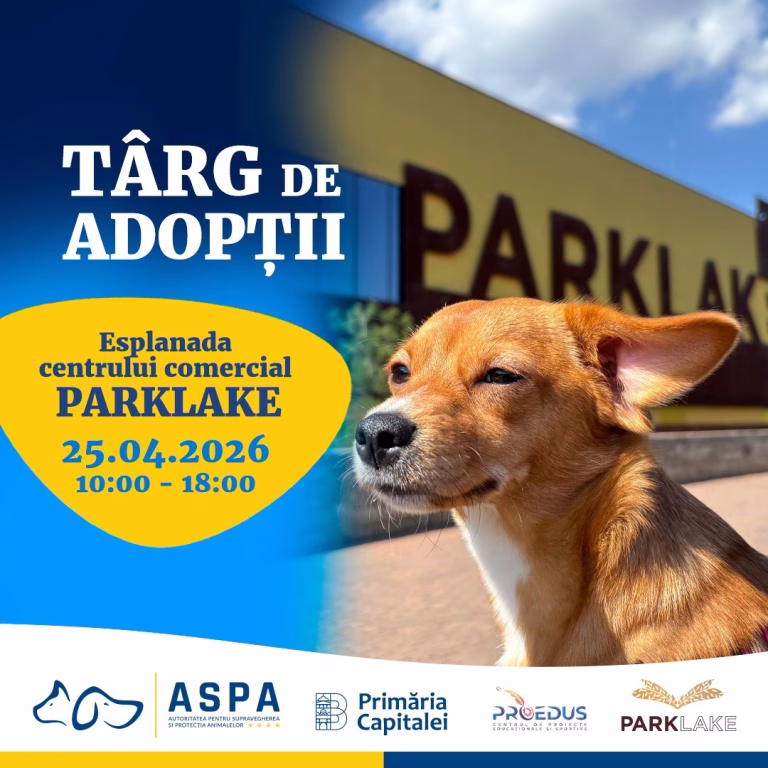 ASPA aduce la ParkLake zeci de căței și pisici pentru adopție