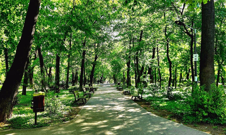 Consultare publică pentru reamenajarea Parcului Kiseleff
