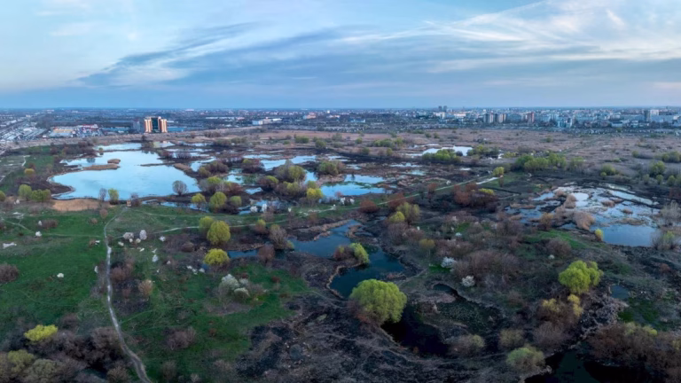 Curățenie în casa broscuțelor, în Parcul Natural Văcărești. Bucureștenii sunt invitați să participe la o acțiune de ecologizare în weekend