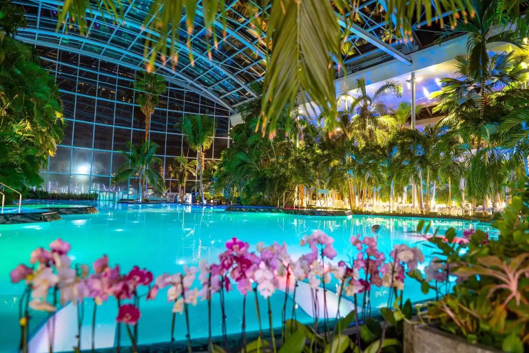 Începe Herbarium Festival la Therme. Urmează două săptămâni cu terapii pe bază de plante, muzică live, instalații artistice și ateliere tematice