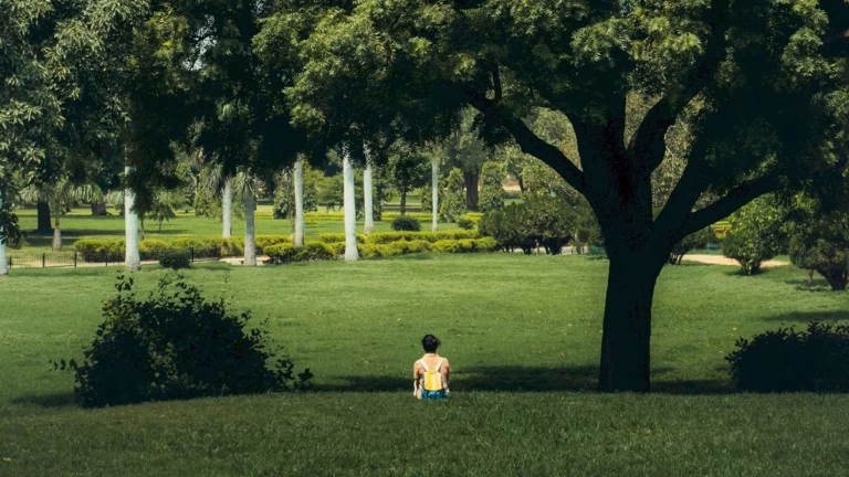 Locuitorii din Cartierul Pallady solicită un parc nou, petiție semnată de sute de persoane