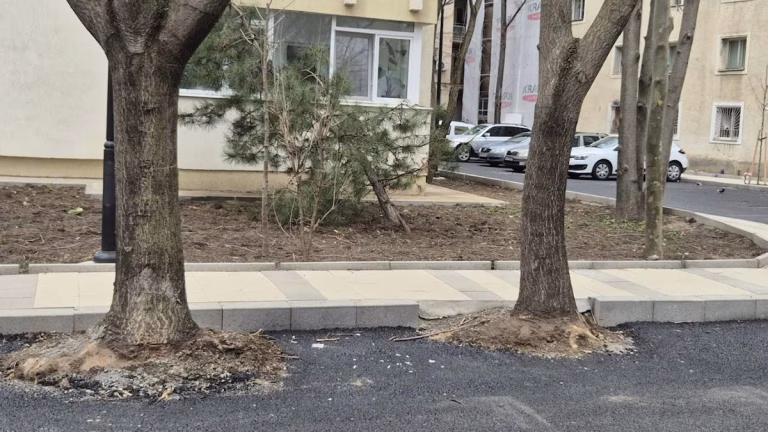Locuri de parcare în grădinile blocurilor, soluția propusă de Primăria Sectorului 2