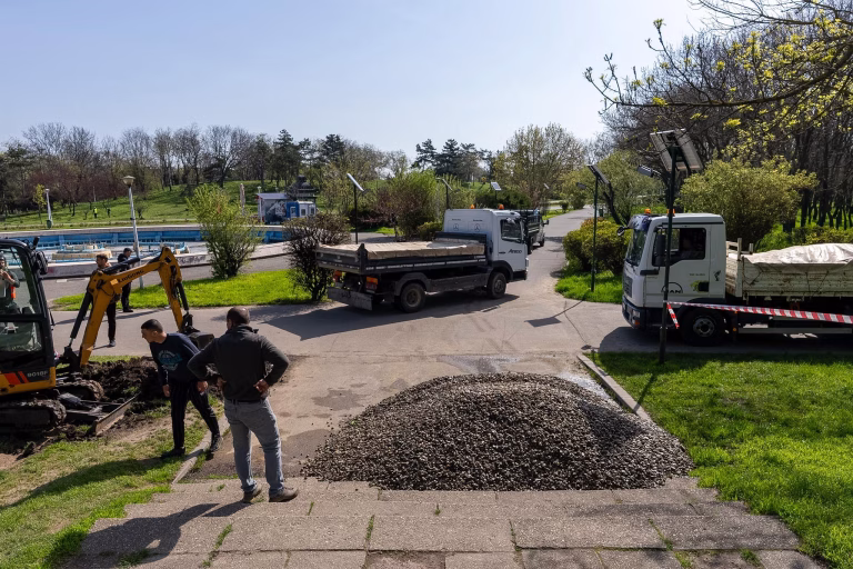Prima grădină de ploaie din Capitală e amenajată în Parcul Tineretului