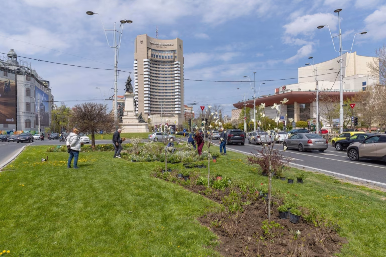 Sute de plante perene, arbuști și flori au fost plantate la Universitate, inclusiv trei magnolii