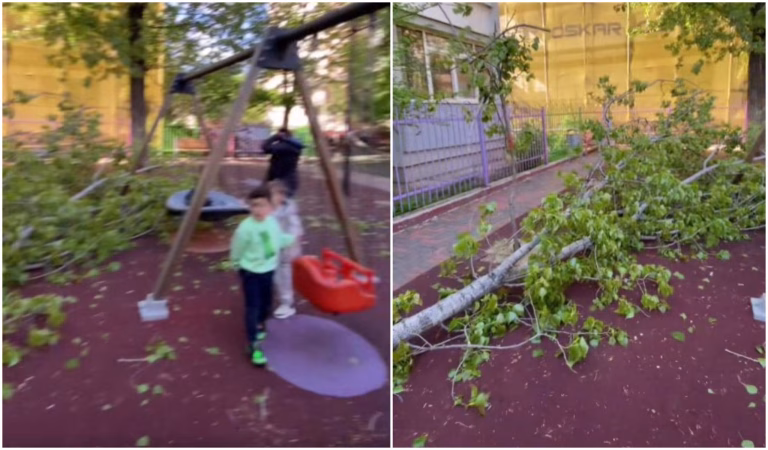 Un copac a căzut într-un parc de joacă din Sectorul 3, stârnind îngrijorări în rândul locuitorilor