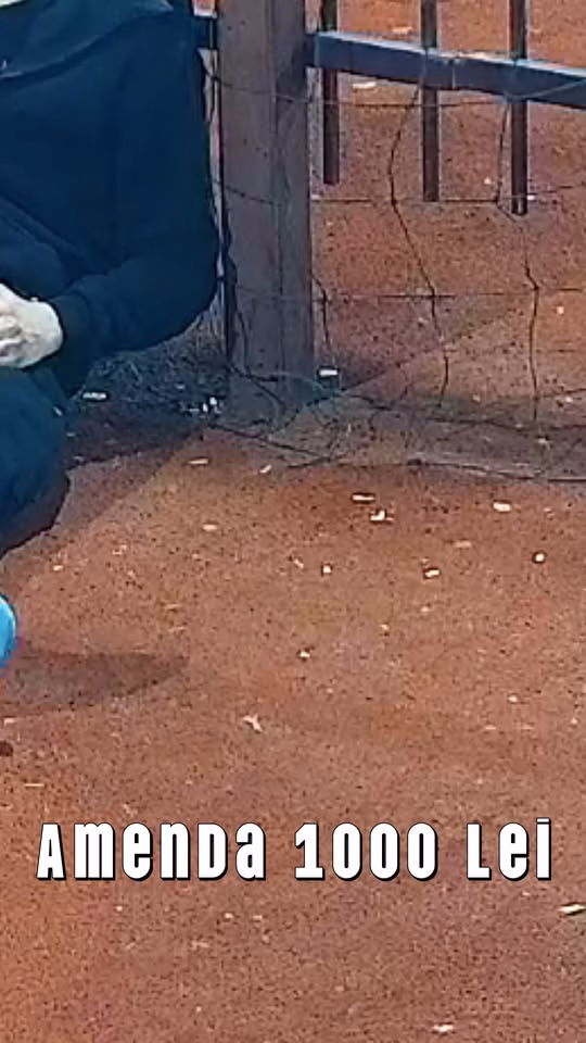 Bazele sportive din Sectorul 3 sunt gratuite, dar nu și gunoiul