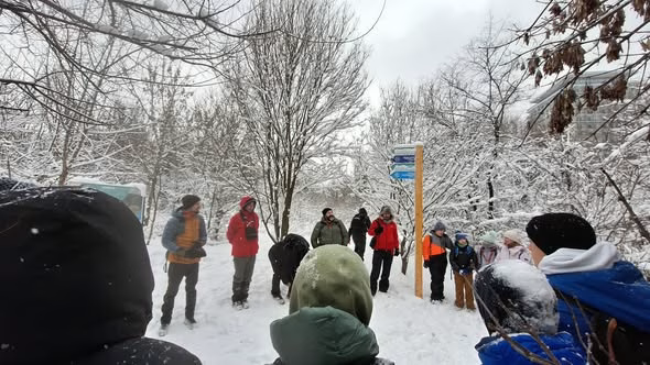 Copiii cercetași au descoperit iarna în Parcul Văcărești - Bucuresti