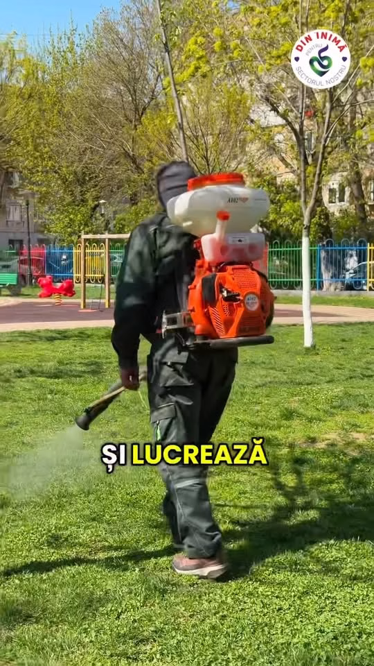 Curățenie de primăvară în Sectorul 5: arbori vopsiți și gazon îngrijit - Bucuresti