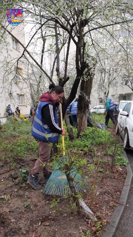 Curățenie mare în Teiul Doamnei și Doamna Ghica