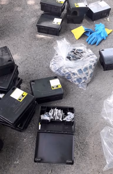 Deratizare în cimitirele Bucureștiului: ce trebuie să știi - Bucuresti