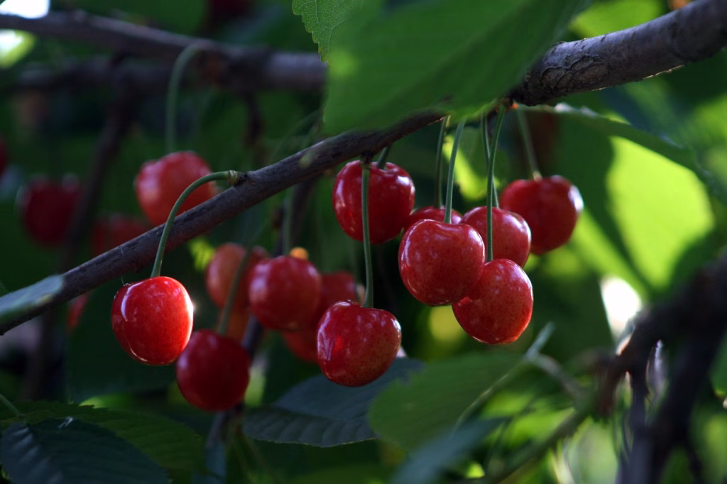 În zona Creangă din Sectorul 2 încep lucrările mult așteptate - Bucuresti (Stock photo)