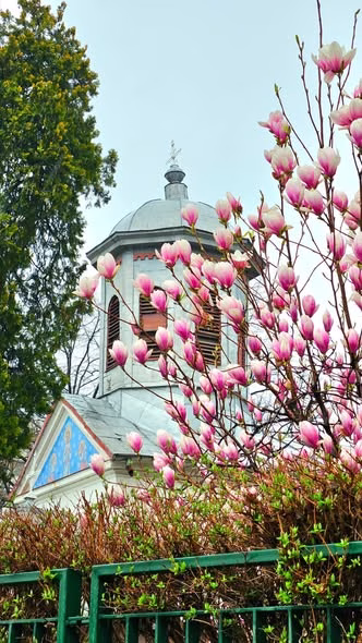 La mulți ani de Florii și Paște fericit catolicilor! - Bucuresti