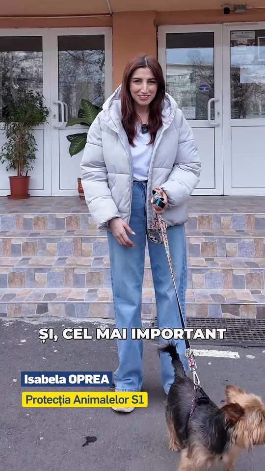 Lecții cu căței la Școala Geo Bogza din Sectorul 1