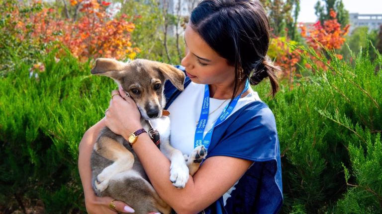 Târg de adopții de căței la Festivalul Prieteniei de la Oratoriul Leonardo Murialdo, în Popești Leordeni