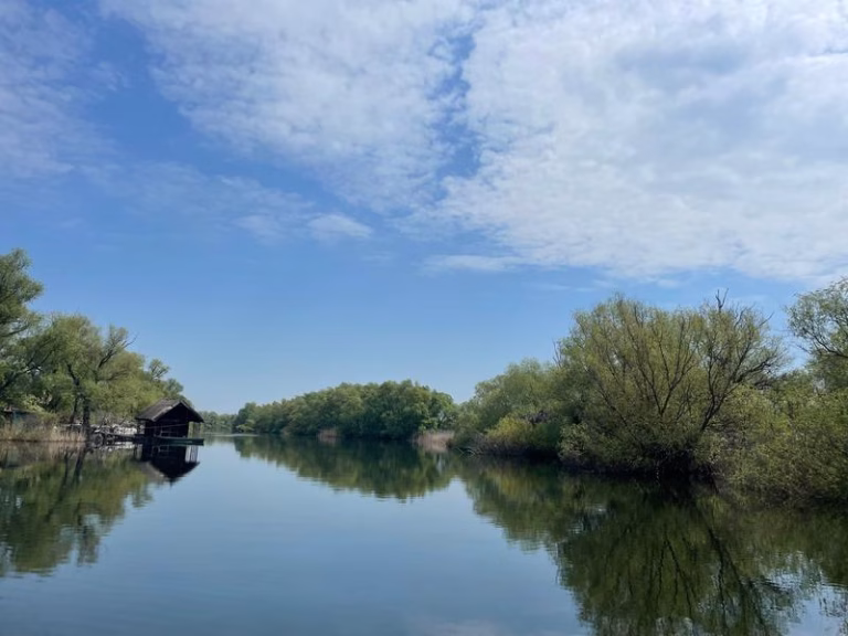Alertele de drone sperie turiștii din Delta Dunării