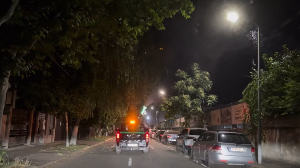 Începe sezonul de vânătoare de țânțari în București - Bucuresti
