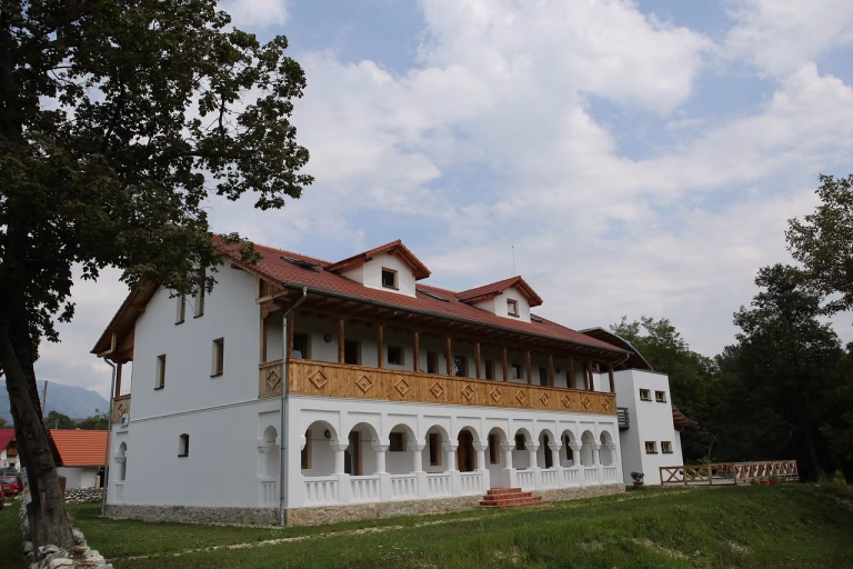 PSD Vâlcea acuză Guvernul Bolojan că blochează fonduri UE
