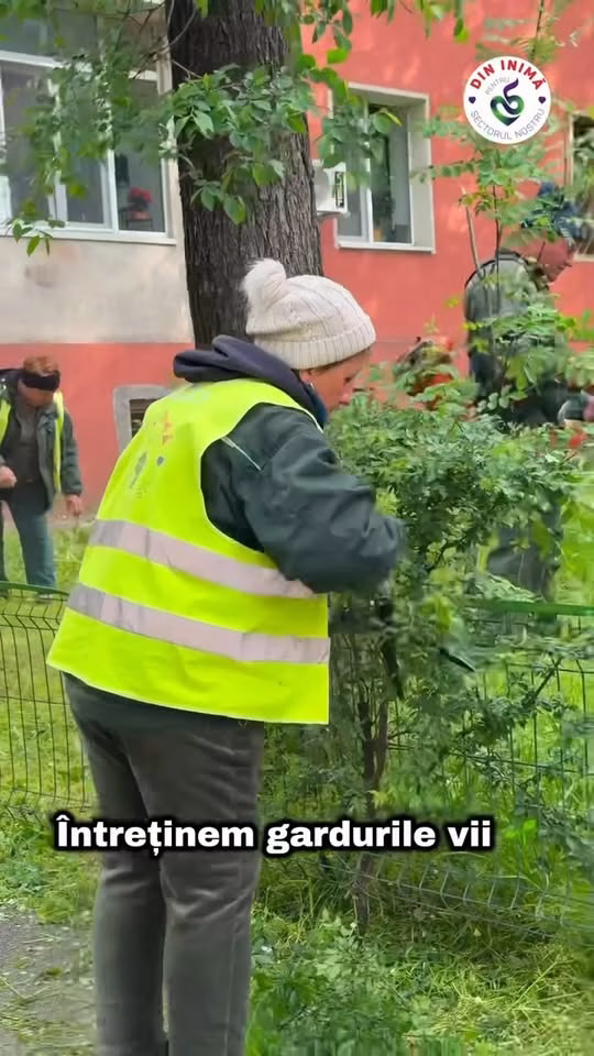 Sectorul 5 se îmbracă în verde: flori, gazon și garduri tunse