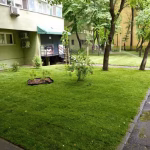 Grădina de bloc de pe Colentina 85 arată acum de necrezut