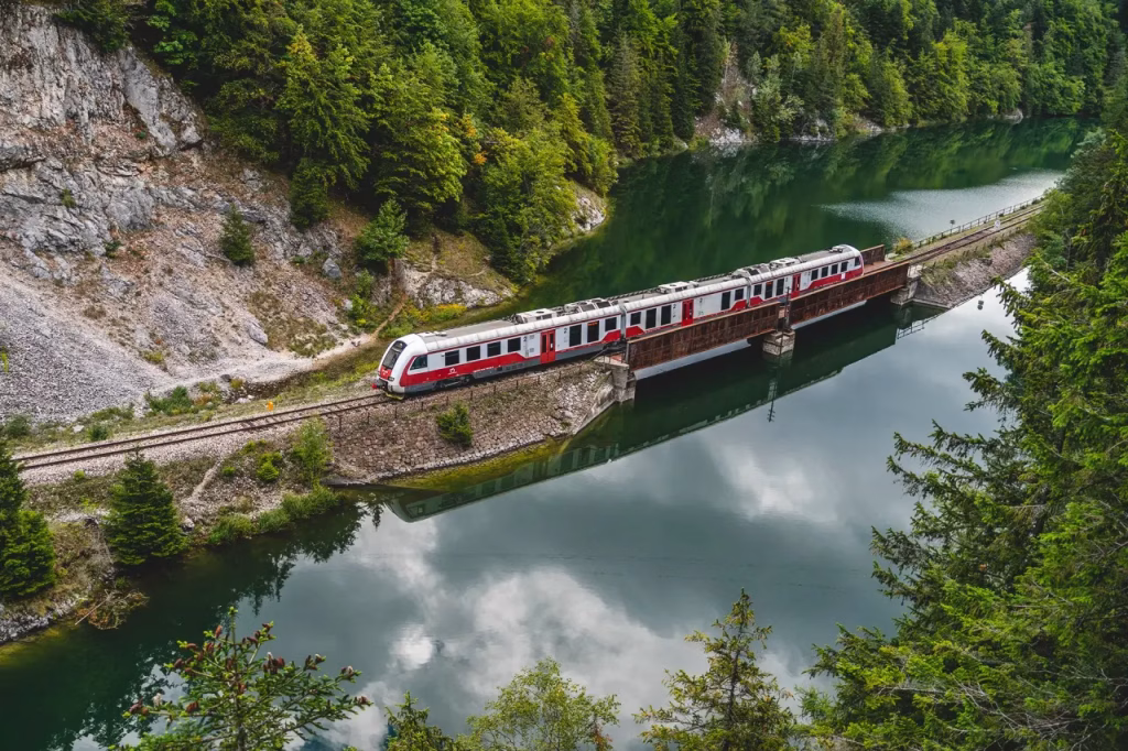 Biletul de tren care vine cu reduceri la zoo, aquapark și spa - Bucuresti