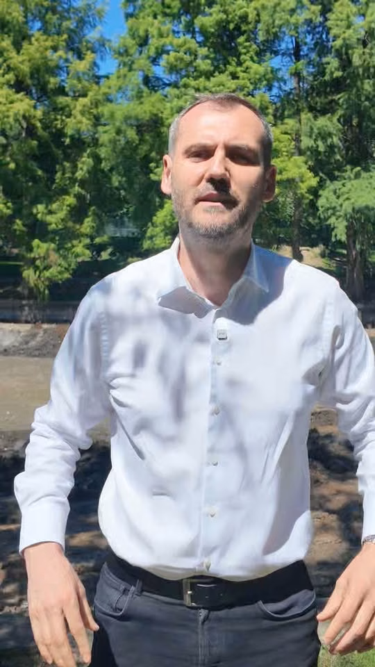Copac cu copac: cum se decide soarta verdelui de la Herăstrău