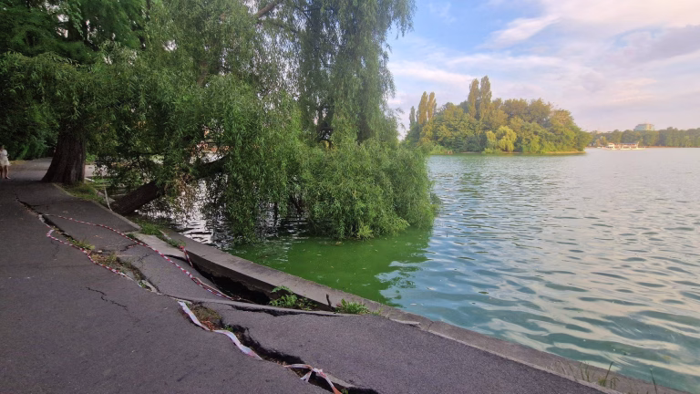 Copacii din Herăstrău, verificați unul câte unul de Primărie