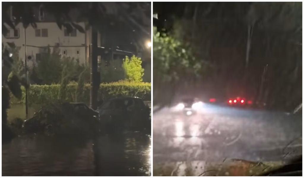 Furtună cu copaci peste maşini, în Craiova - Politica