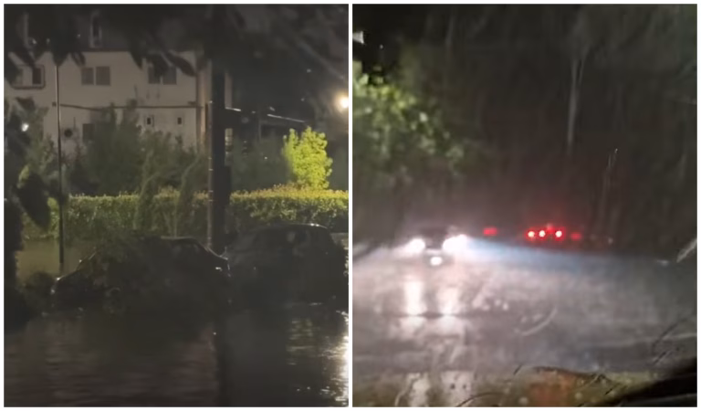Furtună cu copaci peste maşini, în Craiova