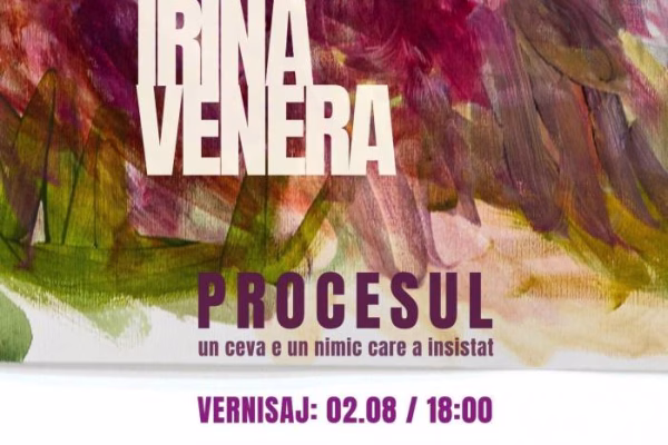 O expoziție-instalație la Gallery Studio 76, în zona Băiculești